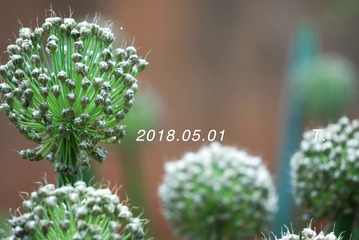 1313744
