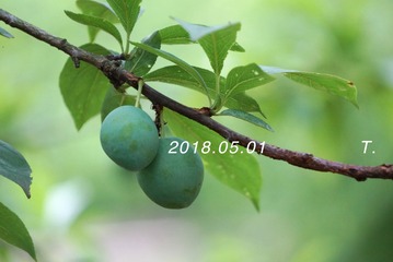 1313751