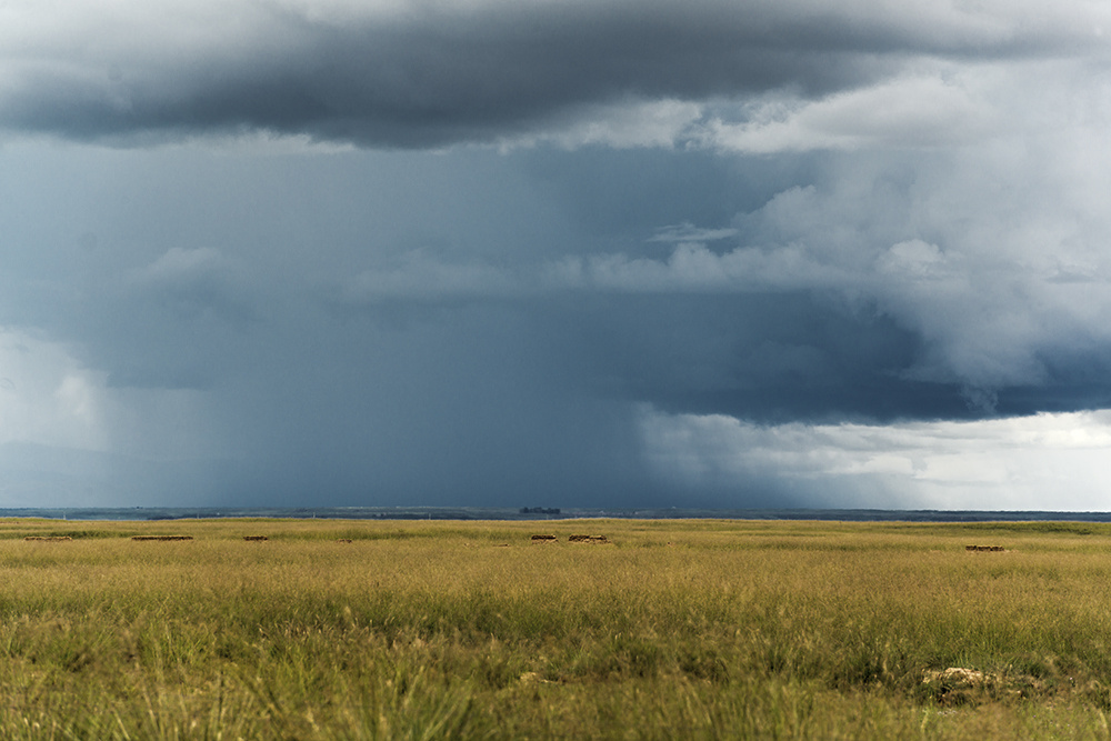 草原上的暴雨