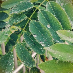 WP_20130605_002.jpg