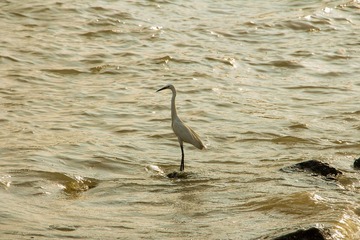 IMG_0647-1.jpg