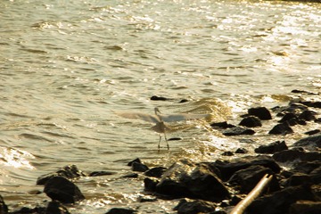 IMG_0648-1.jpg