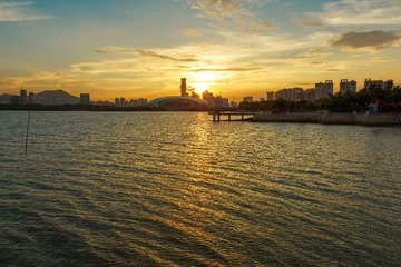 深圳湾2013001