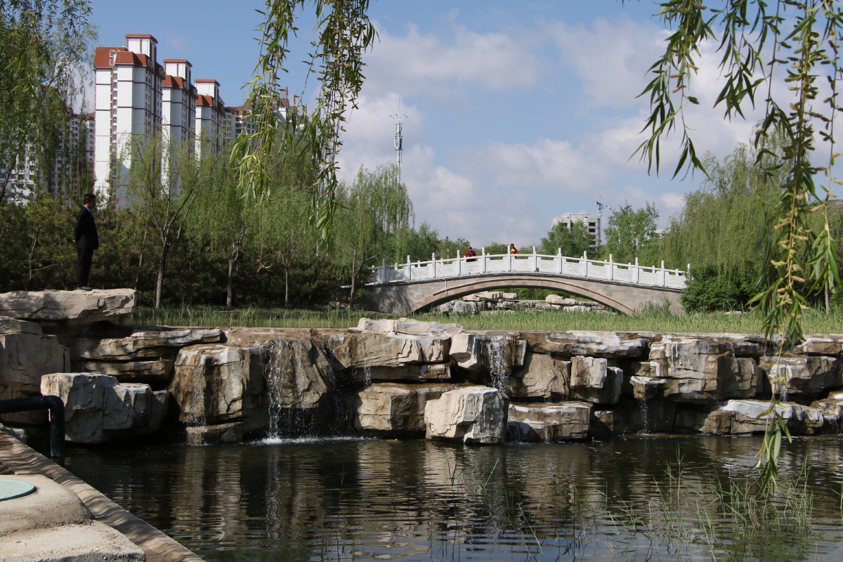 定西市人工湖景色