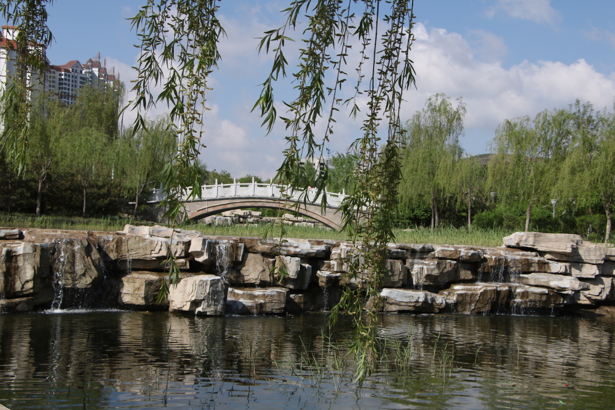 定西市人工湖景色