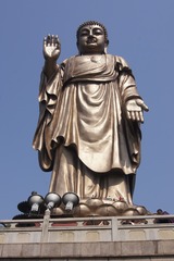 17305