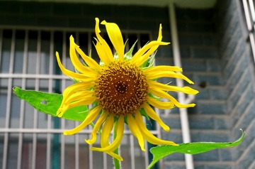 IMGP0785.jpg