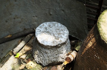 IMGP0836.jpg