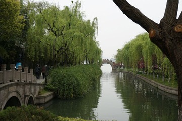 DSC00452.JPG