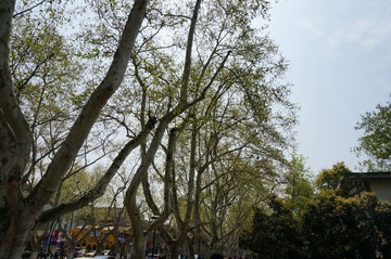 DSC00479.JPG