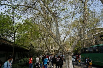 DSC00480.JPG