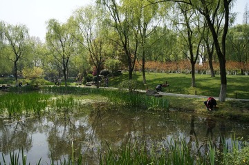 DSC00487.JPG