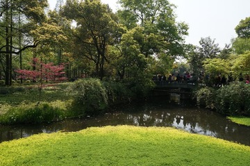 DSC00495.JPG