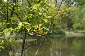 DSC00505.JPG