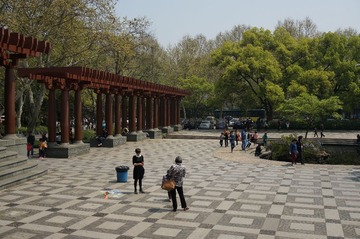 DSC00508.JPG