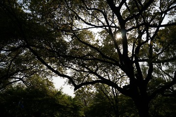 DSC00578.JPG