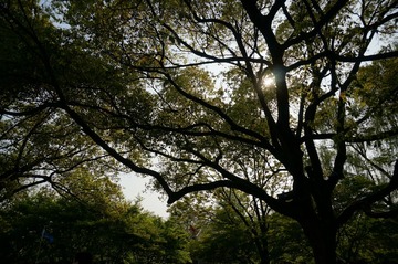 DSC00579.JPG