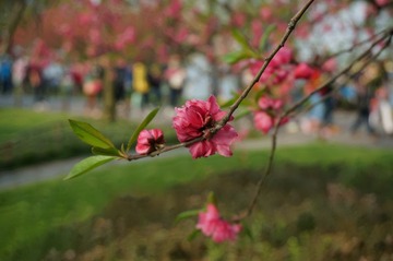 DSC00591.JPG