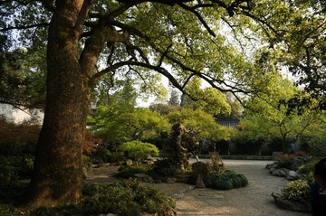 DSC00610.JPG