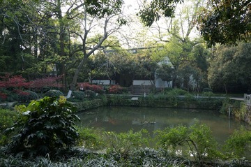DSC00611.JPG