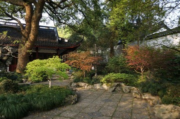DSC00630.JPG