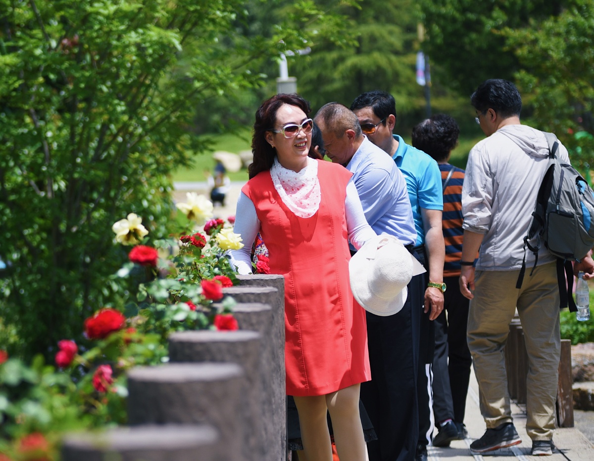 假期最后一天赏花偶遇老朋友偶遇单打独斗拍抖音和集体拍抖音的五颜六