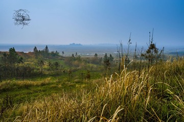 _ZY07679