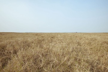 _ZY07901