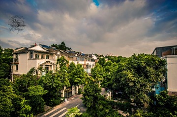 _ZY09923
