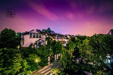 _ZY09966
