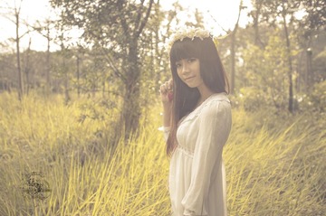 _ZY00509