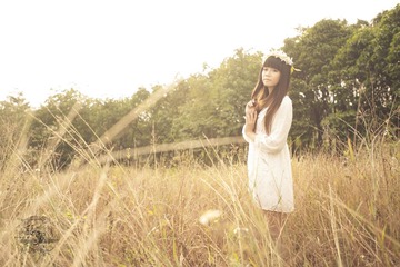 _ZY00533
