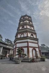_ZY09875