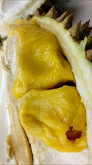 296566