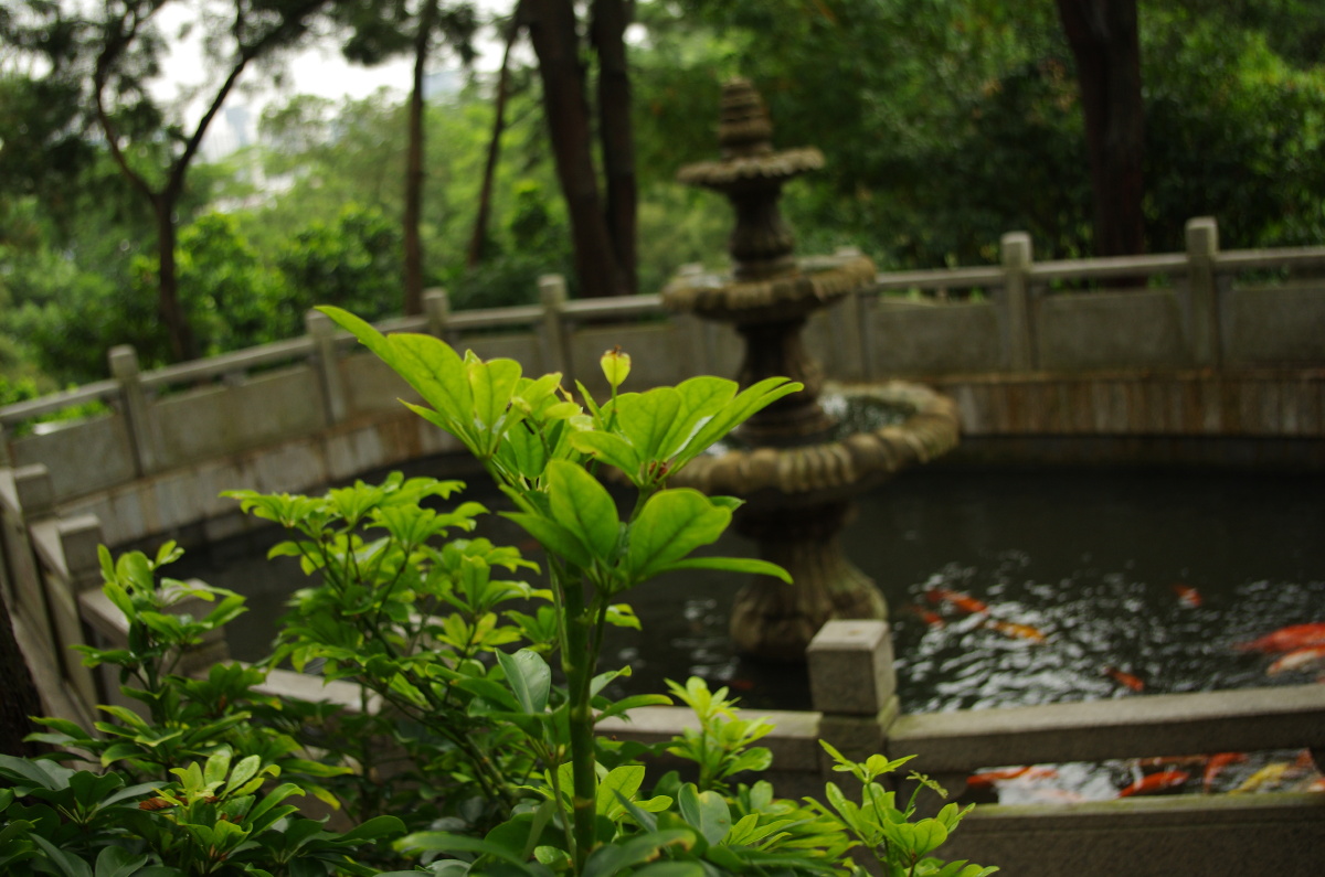 珠海南屏观音庙