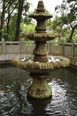IMGP0567.JPG