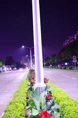 IMGP1525.JPG