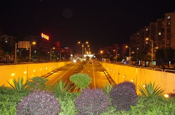 IMGP1461.JPG