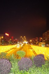 IMGP1464.JPG
