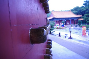 IMGP1604.JPG