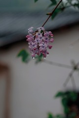 1513446D-58B8-4CF7-8880-1D6114F6397F/L0/001