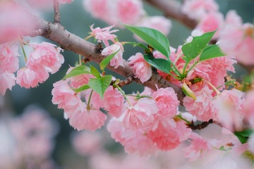 D90D5C12-D022-4293-A887-7CDCB73DA374/L0/001