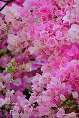 E818F28B-BF09-4E3F-88E0-796FD63E92FD/L0/001