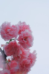 5B4EF87A-3C89-4A0B-94FC-016081937E00/L0/001