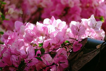 7AACAE0B-A6C8-491C-9B7E-D0EC409CF817/L0/001