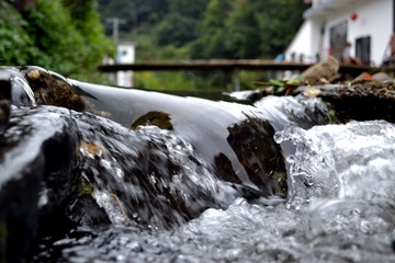 DSC_0133.JPG