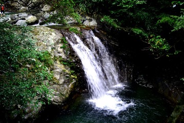 DSC_0206.JPG