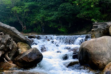 DSC_0253.JPG