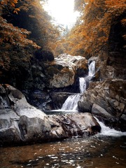 20120907955.jpg