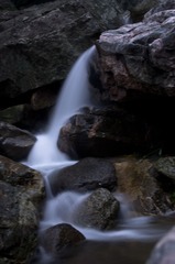 IMGP8206.jpg